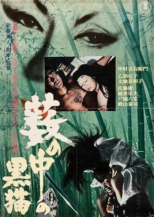 Black Cat film posteri